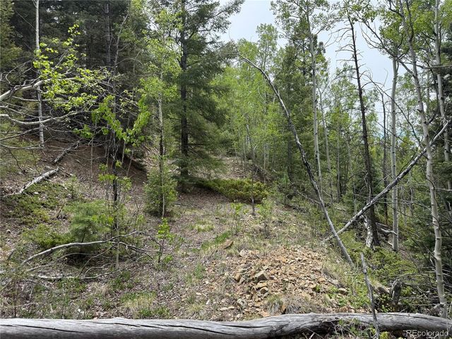 6795 Starkweather Rd, Fort Garland, CO 81133