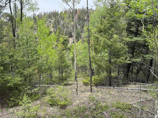 6795 Starkweather Rd, Fort Garland, CO 81133