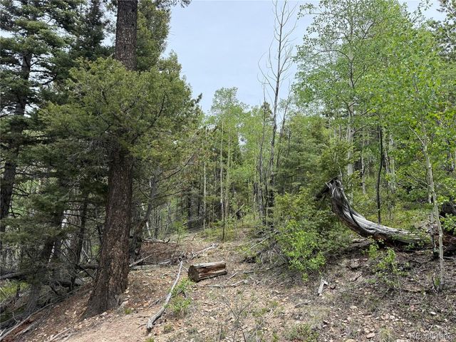 6795 Starkweather Rd, Fort Garland, CO 81133