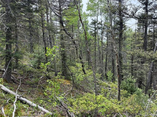 6795 Starkweather Rd, Fort Garland, CO 81133