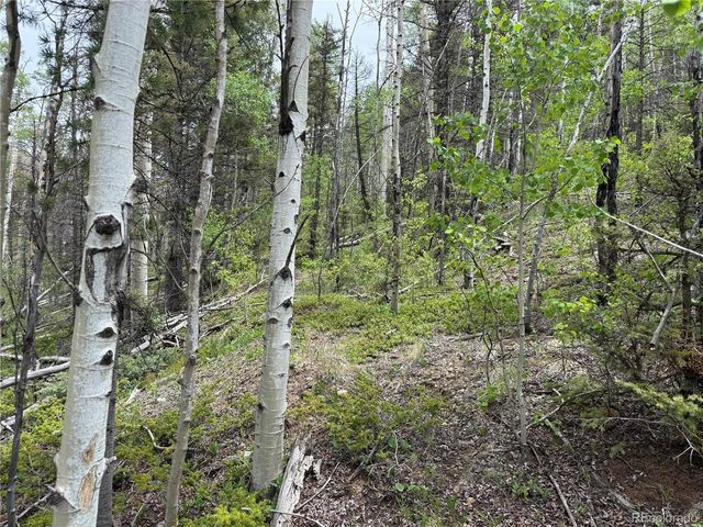 6795 Starkweather Rd, Fort Garland, CO 81133