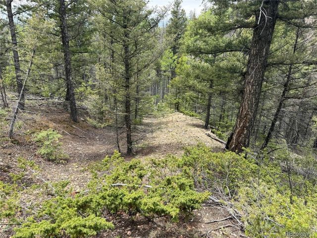 6795 Starkweather Rd, Fort Garland, CO 81133