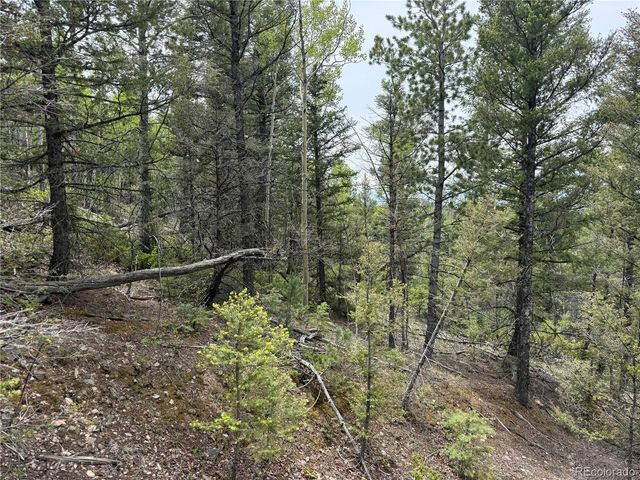 6795 Starkweather Rd, Fort Garland, CO 81133