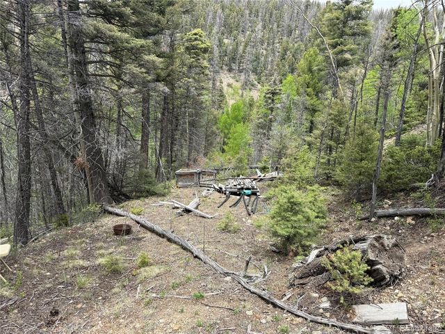 6795 Starkweather Rd, Fort Garland, CO 81133