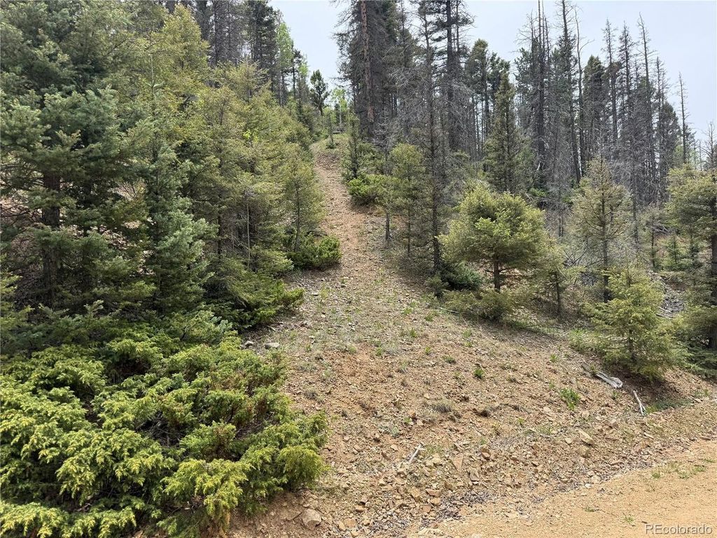 6795 Starkweather Rd, Fort Garland, CO 81133