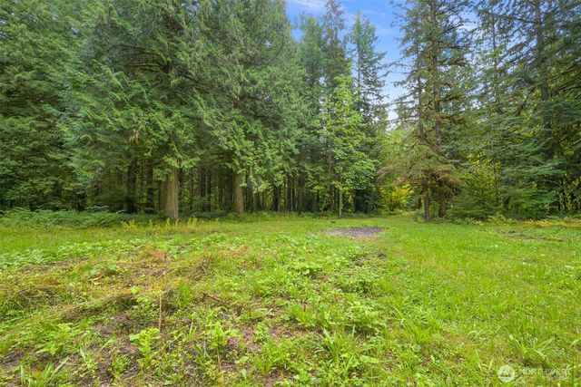 7326 Mt. Baker Highway, Maple Falls, WA 98244