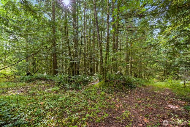 7326 Mt. Baker Highway, Maple Falls, WA 98244