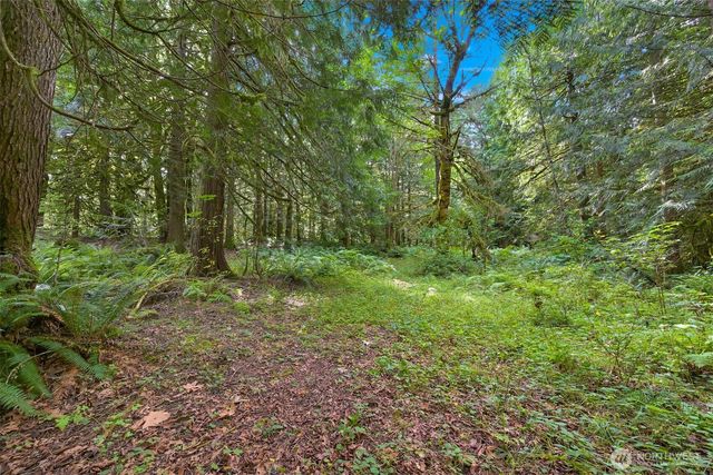 7326 Mt. Baker Highway, Maple Falls, WA 98244