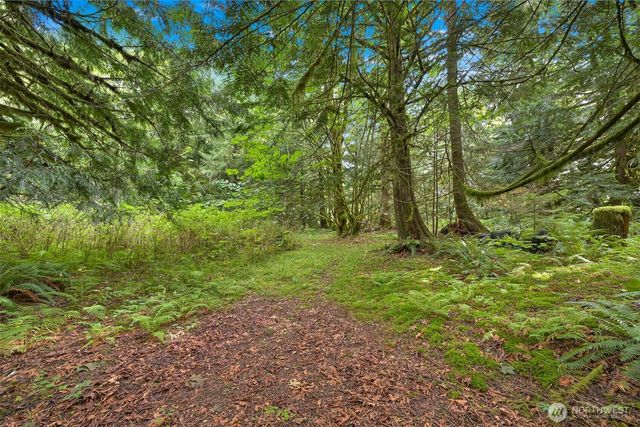 7326 Mt. Baker Highway, Maple Falls, WA 98244