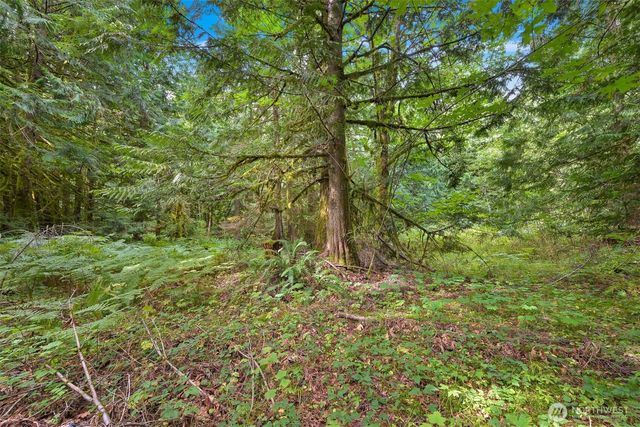 7326 Mt. Baker Highway, Maple Falls, WA 98244
