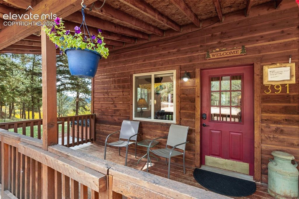 391 Timber Ridge Road, Divide, CO 80814 — photo 3