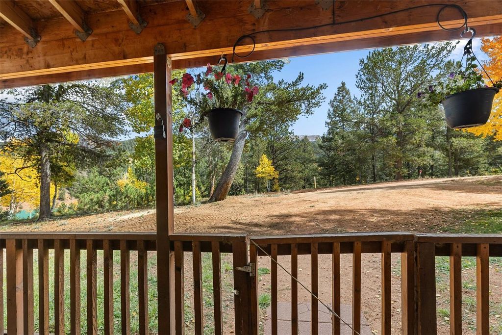 391 Timber Ridge Road, Divide, CO 80814 — photo 4