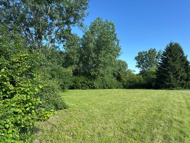 10630 White Face Court, Woodstock, IL 60098