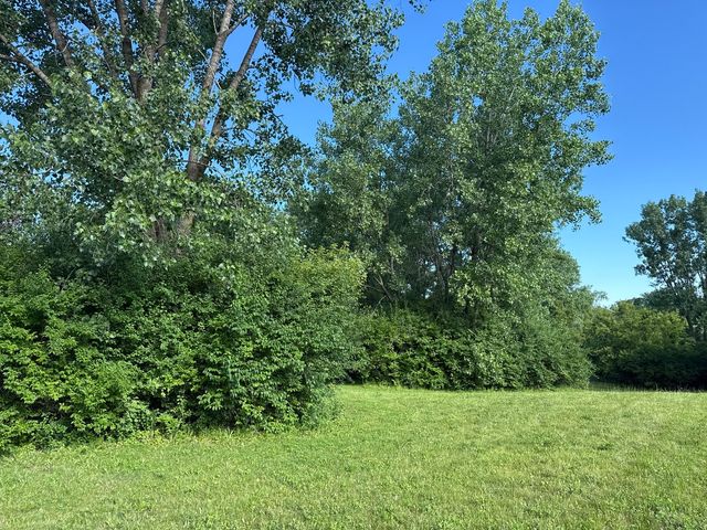 10630 White Face Court, Woodstock, IL 60098