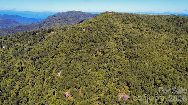 338 Fairview Forest Drive, Fairview, NC 28730