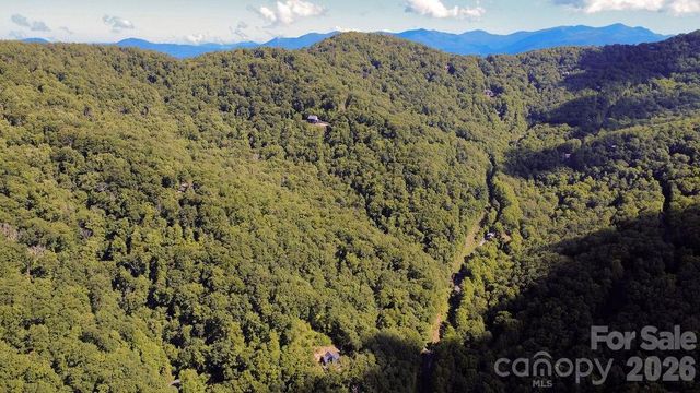 338 Fairview Forest Drive, Fairview, NC 28730