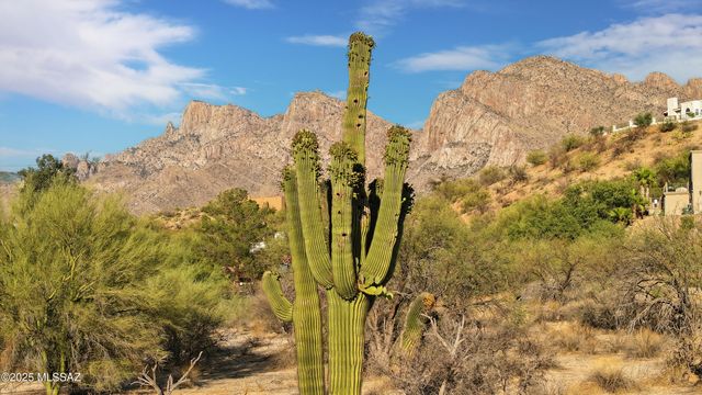 9745 N Calle Loma Linda, Oro Valley, AZ 85737