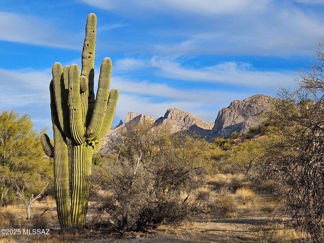 9745 N Calle Loma Linda, Oro Valley, AZ 85737