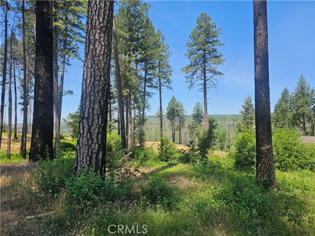 6649 Lincoln Drive, Paradise, CA 95969