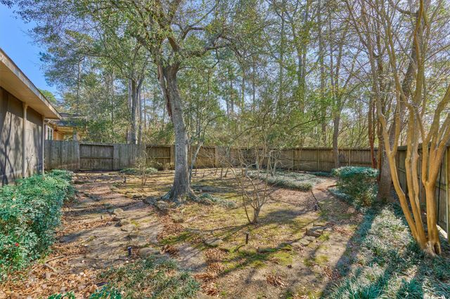 59 W Bellmeade Place, The Woodlands, TX 77382