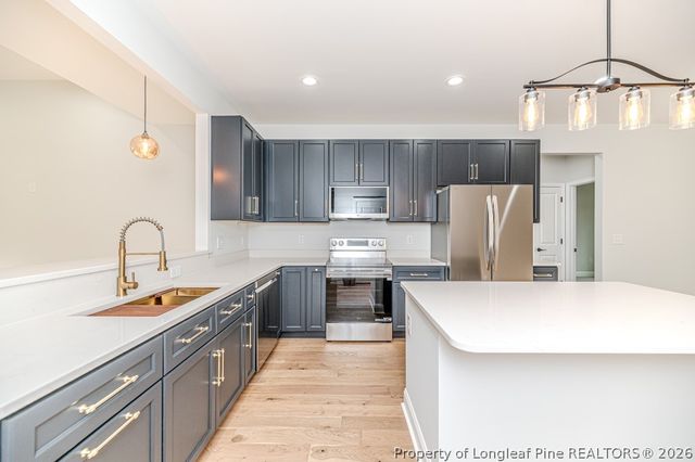 1138 Beaver Branch, Sanford, NC 27332