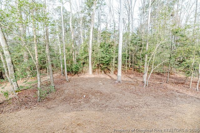 1138 Beaver Branch, Sanford, NC 27332