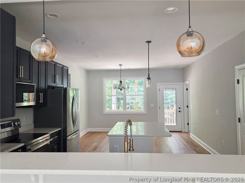 1138 Beaver Branch, Sanford, NC 27332 — photo 23