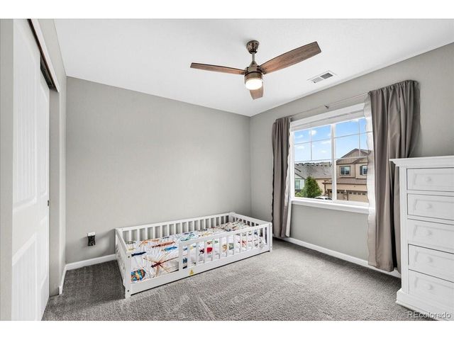 5176 Ditmars Trl, Castle Rock, CO 80104