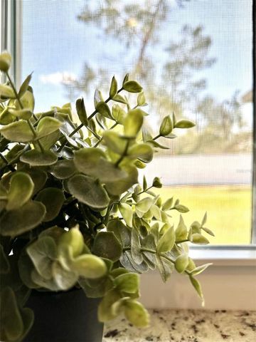 2409 SW 156TH LOOP, Ocala, FL 34473