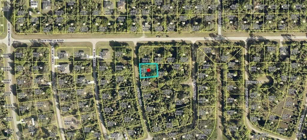 123 Dexter AVE S, LEHIGH ACRES, FL 33974 — exterior