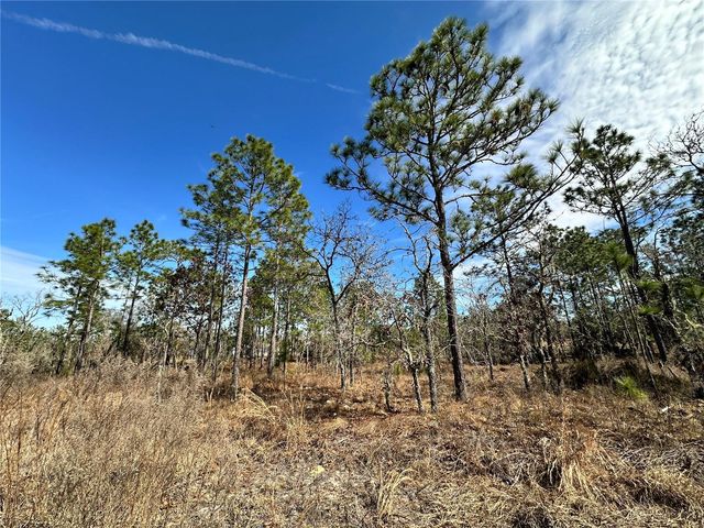 TBD NE 150TH COURT, Williston, FL 32696