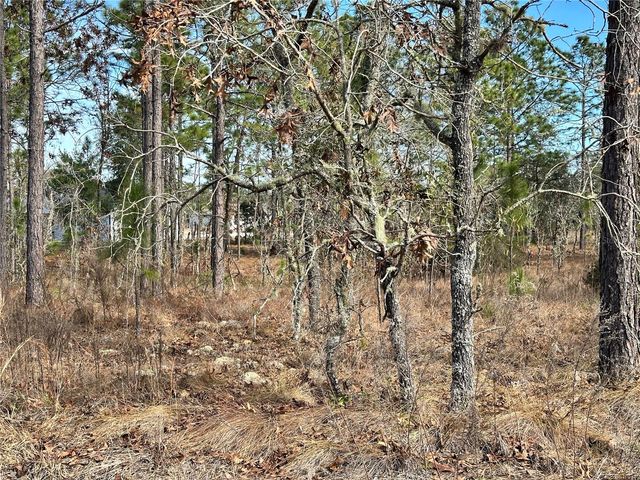 TBD NE 150TH COURT, Williston, FL 32696