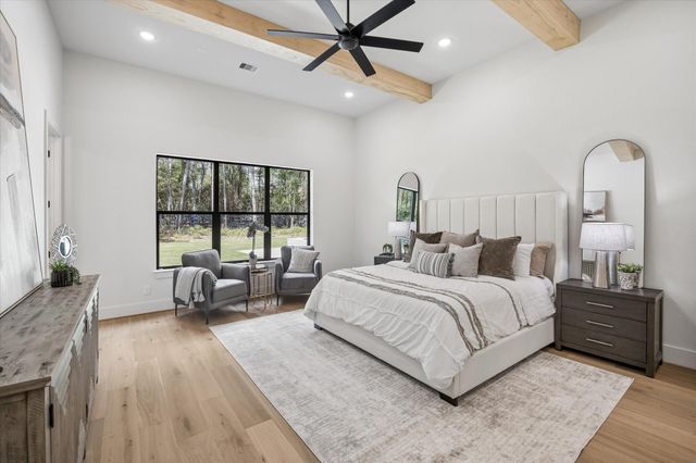 25179 Balmorhea Way, Montgomery, TX 77316