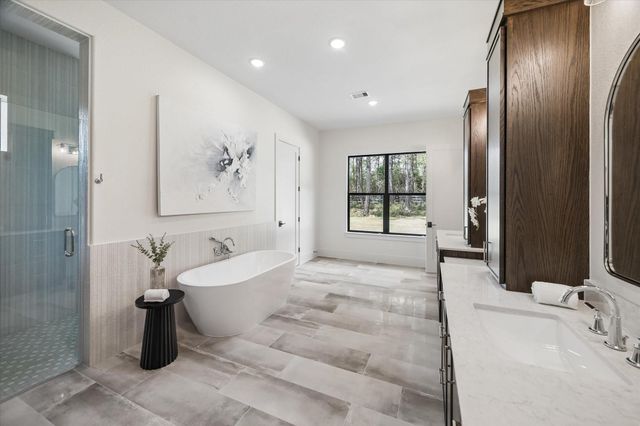 25179 Balmorhea Way, Montgomery, TX 77316