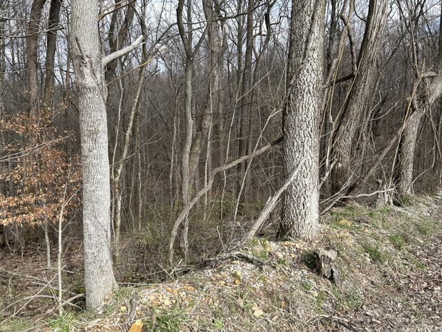0 Ward Lane, Bethpage, TN 37022