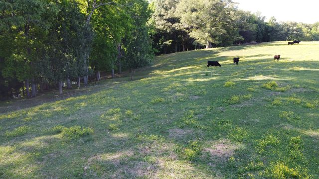 143 Griffintown Rd, Sparta, TN 38583