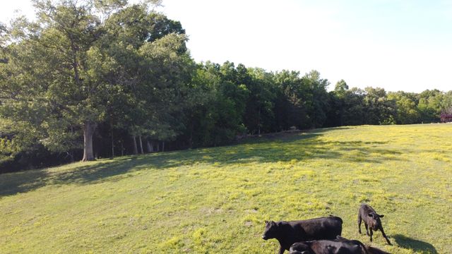 143 Griffintown Rd, Sparta, TN 38583