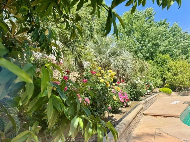 25453 Via Novia, Valencia, CA 91355