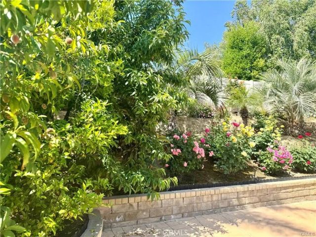 25453 Via Novia, Valencia, CA 91355