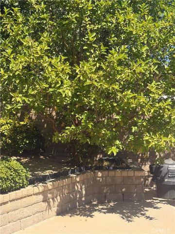 25453 Via Novia, Valencia, CA 91355