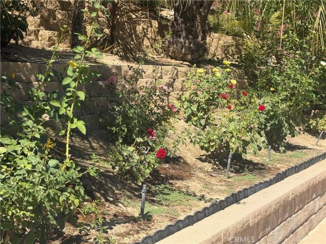 25453 Via Novia, Valencia, CA 91355