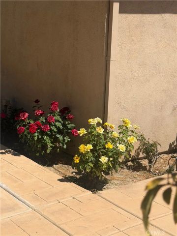 25453 Via Novia, Valencia, CA 91355