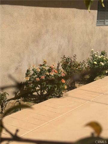25453 Via Novia, Valencia, CA 91355