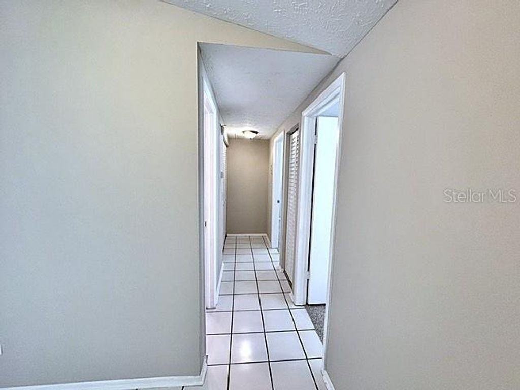 Image 19 of property listing at 16004 GRASS LAKE DRIVE, Tampa, FL 33618