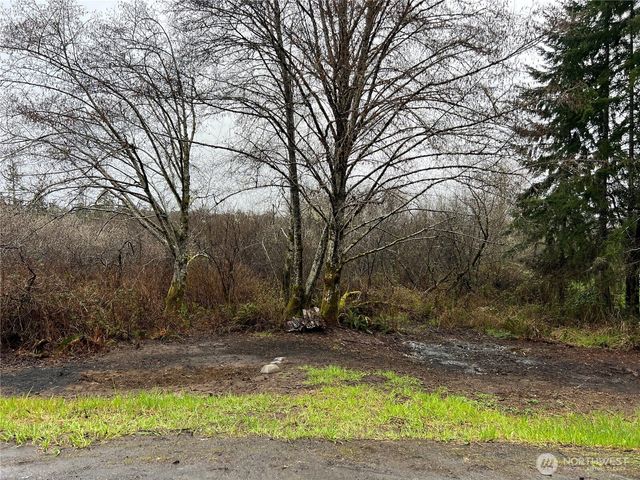 0 X Willapa Road, Raymond, WA 98577
