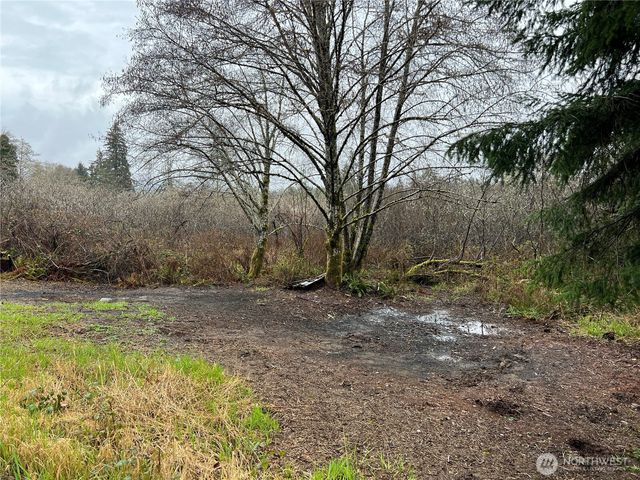 0 X Willapa Road, Raymond, WA 98577