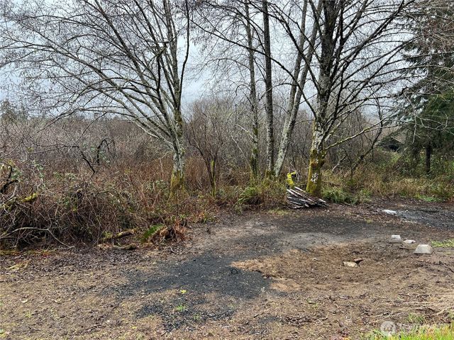 0 X Willapa Road, Raymond, WA 98577