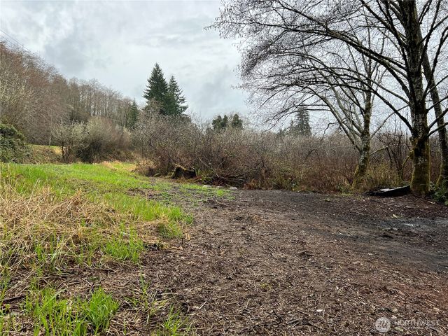 0 X Willapa Road, Raymond, WA 98577