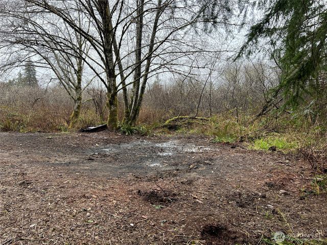 0 X Willapa Road, Raymond, WA 98577
