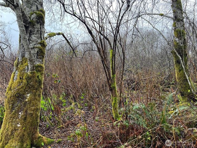 0 X Willapa Road, Raymond, WA 98577